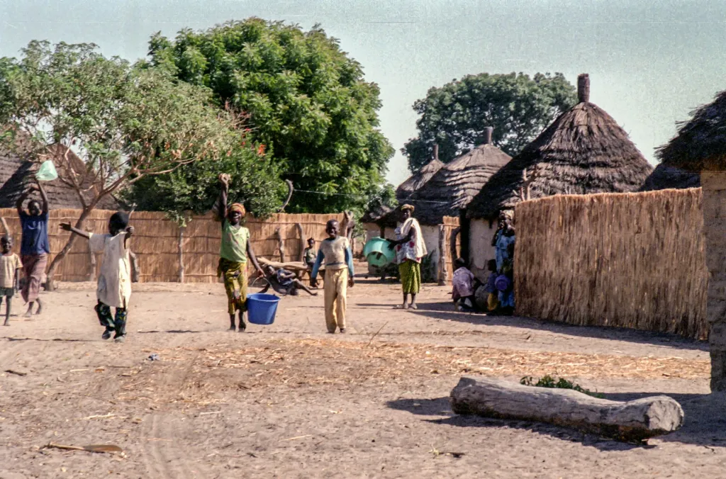 wietse-jongsma-DJa0dqgMluM-unsplash-1-1024x676